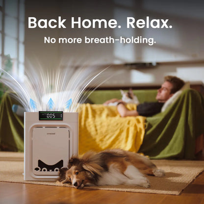 Keffios Air Purifier for Homes with Pets, Dual-Side Intake