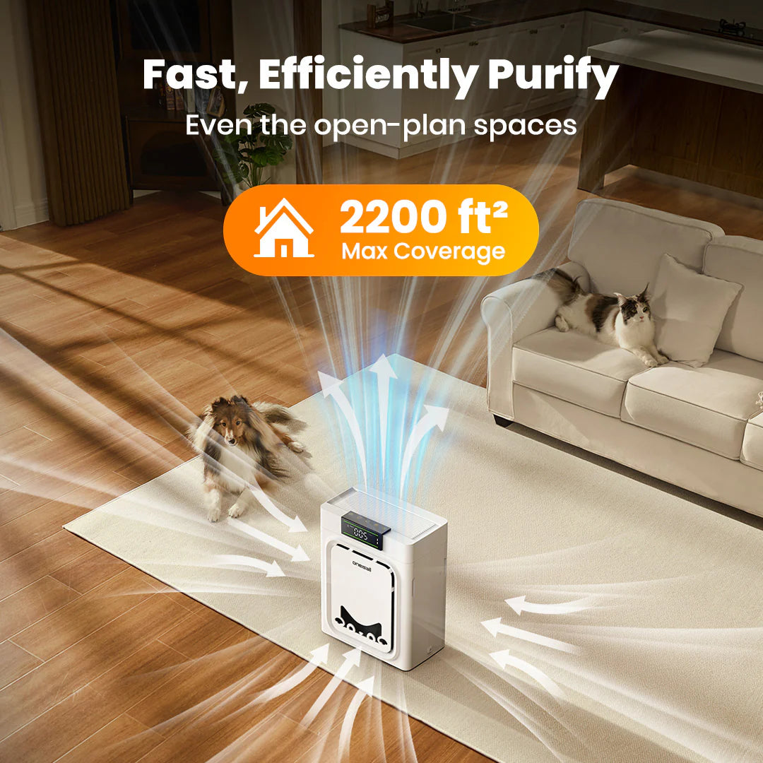 Keffios Air Purifier for Homes with Pets, Dual-Side Intake