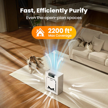 Keffios Air Purifier for Homes with Pets, Dual-Side Intake